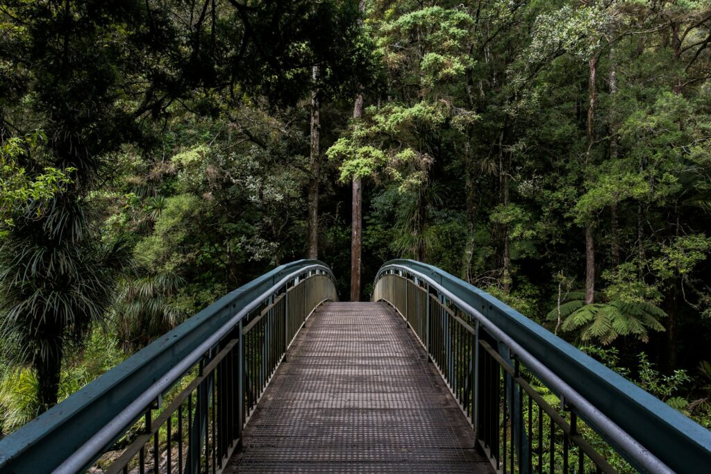 Metal bridge leading into a lush green forest, symbolizing journey through therapy for teens San Francisco.