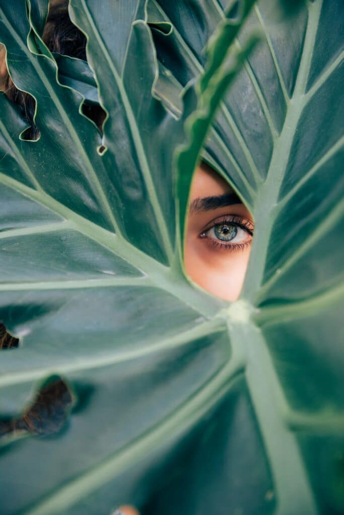 Eye peering through leaf, representing personal growth through CBT for depression in San Francisco.