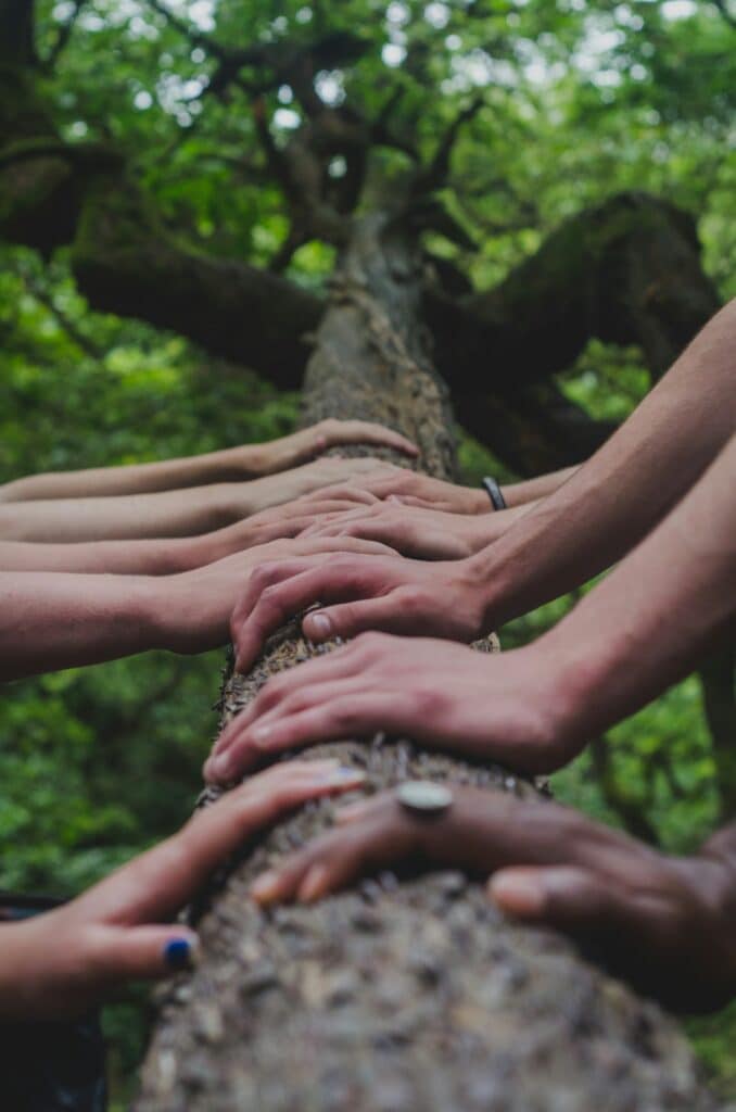 Multiple hands placed on a tree trunk during group activity, showing support to find teenage therapists San Francisco.