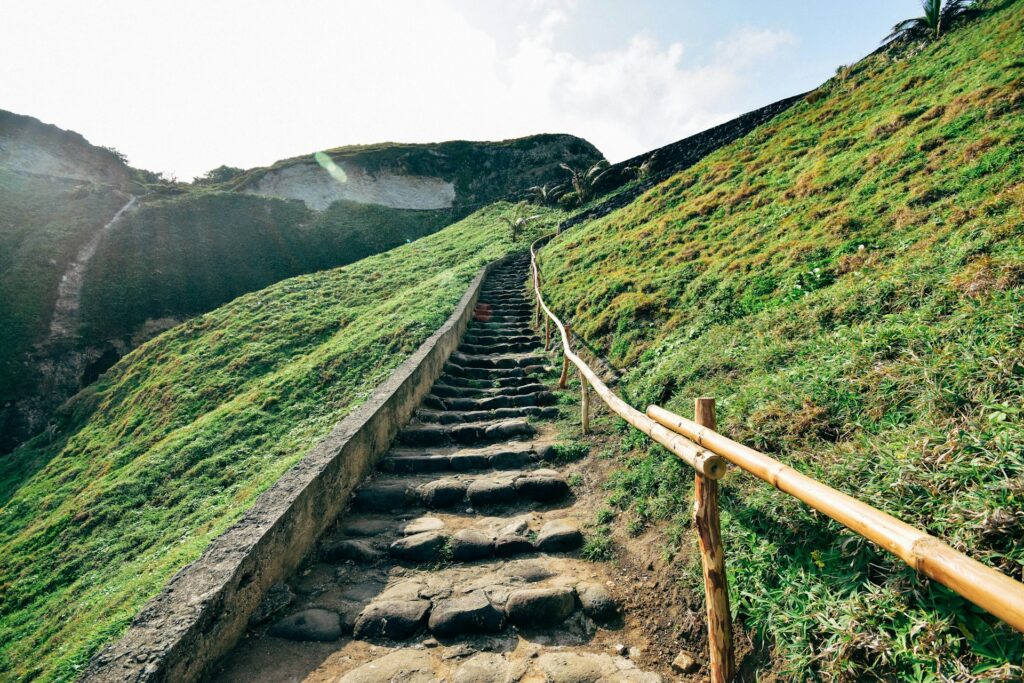 Stone steps winding uphill through greenery, showing progress with a CBT anxiety therapist near San Francisco.