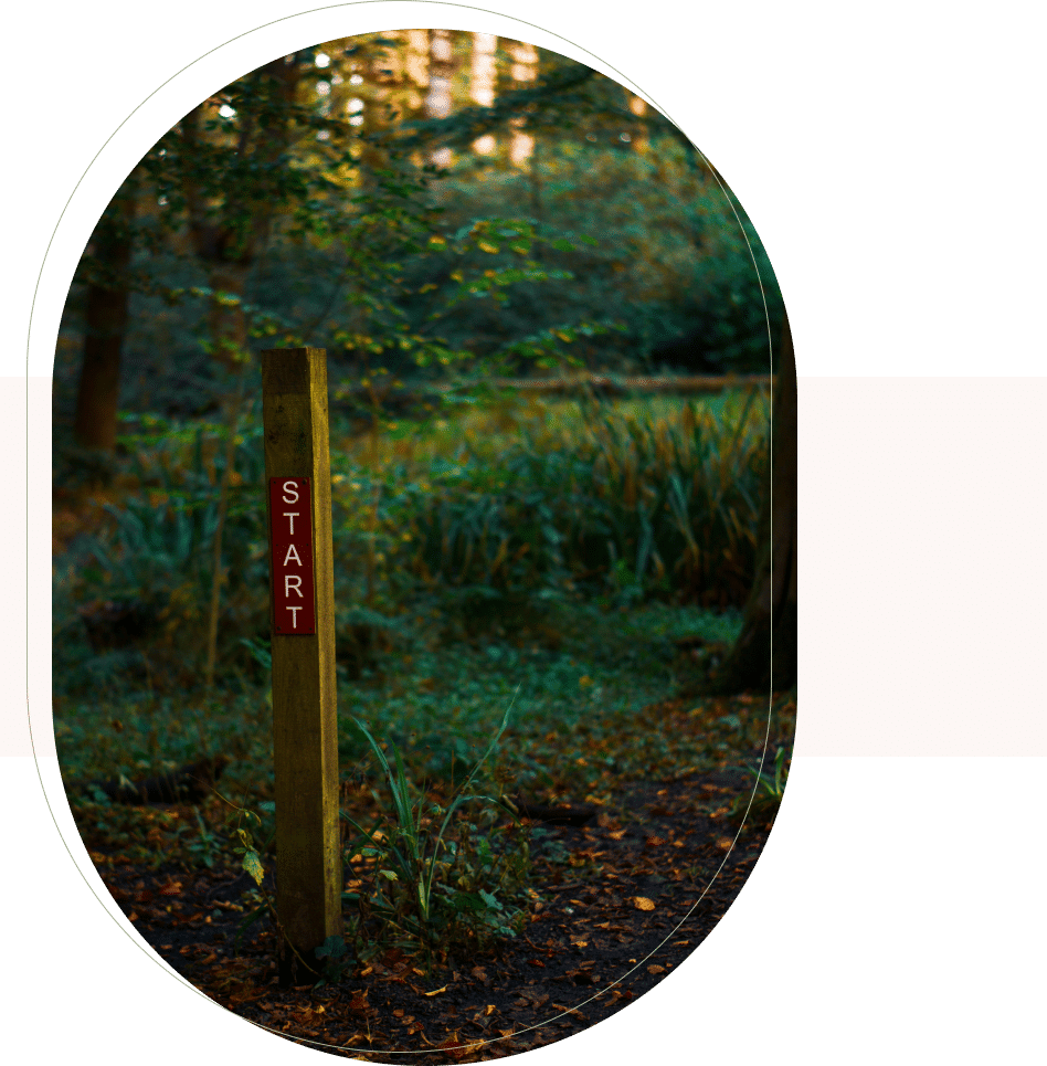 Wooden post marked "START" on a forest trail, representing a new journey with support from an SF therapist.